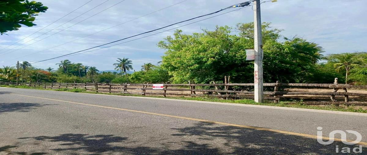 Foto de terreno comercial en venta en carretera aeropuerto barra de potosí , aeropuerto, zihuatanejo de azueta, guerrero, 0 No. 05
