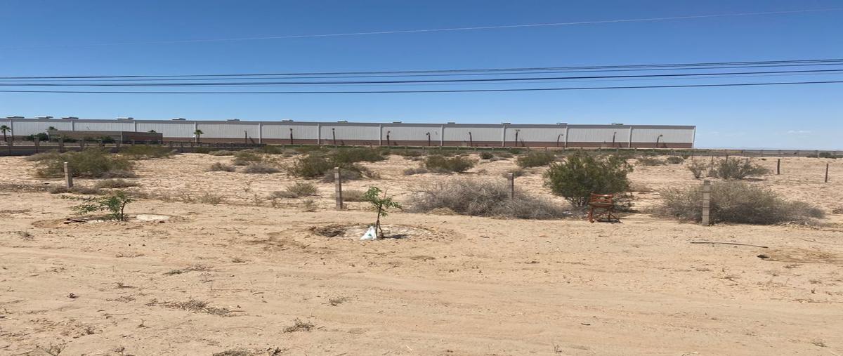 Foto de terreno industrial en venta en carretera aeropuerto , nicoya desarrollo industrial, mexicali, baja california, 28175703 No. 04