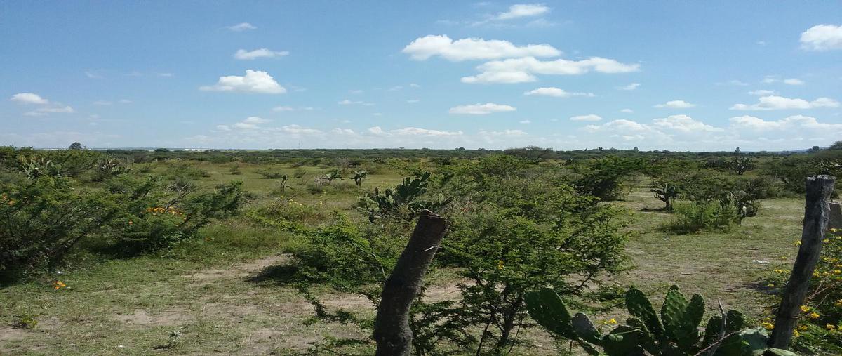Foto de terreno comercial en venta en carretera aeropuerto , peñuelas (el cienegal), aguascalientes, aguascalientes, 23197174 No. 05