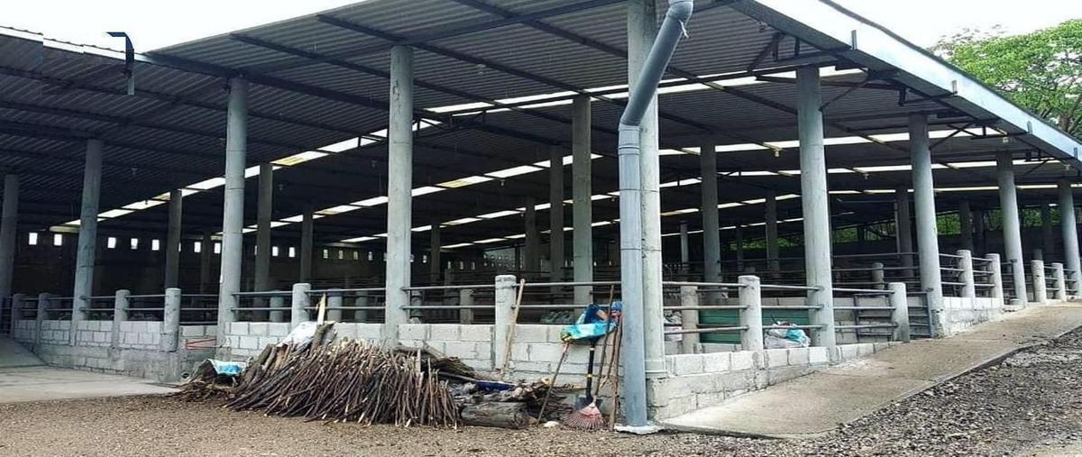 Foto de rancho en venta en carretera aeropuerto , rivera cupia, chiapa de corzo, chiapas, 27489058 No. 03