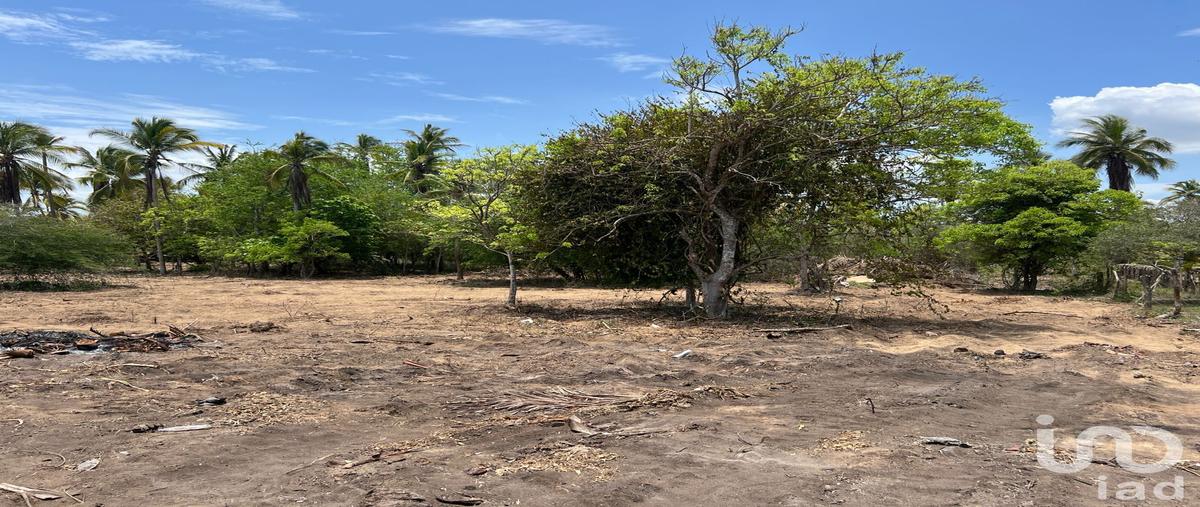 Foto de terreno comercial en venta en carretera aeropuerto-bara de potosí , aeropuerto, zihuatanejo de azueta, guerrero, 30019343 No. 03