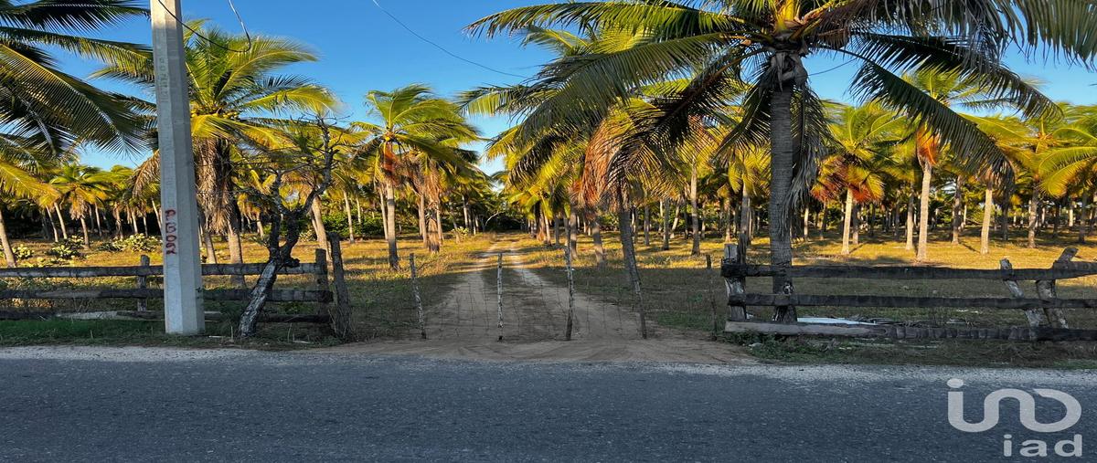 Foto de terreno comercial en venta en carretera aeropuerto-bara de potosí , aeropuerto, zihuatanejo de azueta, guerrero, 30019343 No. 04
