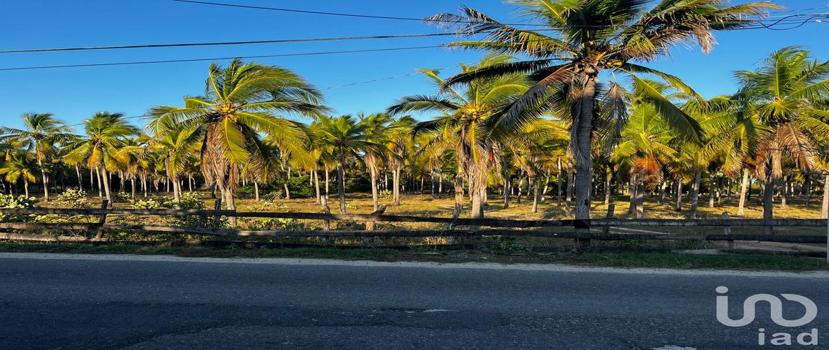 Foto de terreno comercial en venta en carretera aeropuerto-bara de potosí , aeropuerto, zihuatanejo de azueta, guerrero, 30019343 No. 05