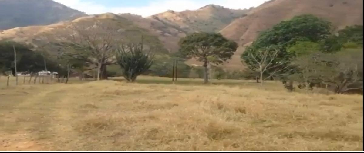 Foto de rancho en venta en carretera , agrónomos mexicanos, villaflores, chiapas, 28440765 No. 05