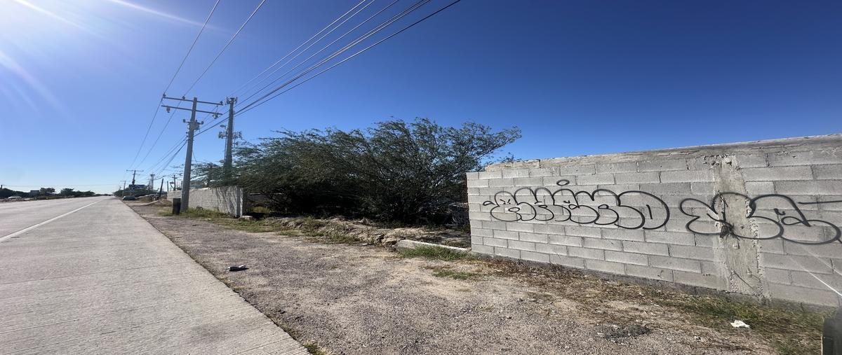 Foto de terreno habitacional en carretera al aeropuerto , chametla, la paz, baja california sur, 0 foto 01 Foto de terreno habitacional en renta en carretera al aeropuerto , chametla, la paz, baja california sur, 0 No. 01