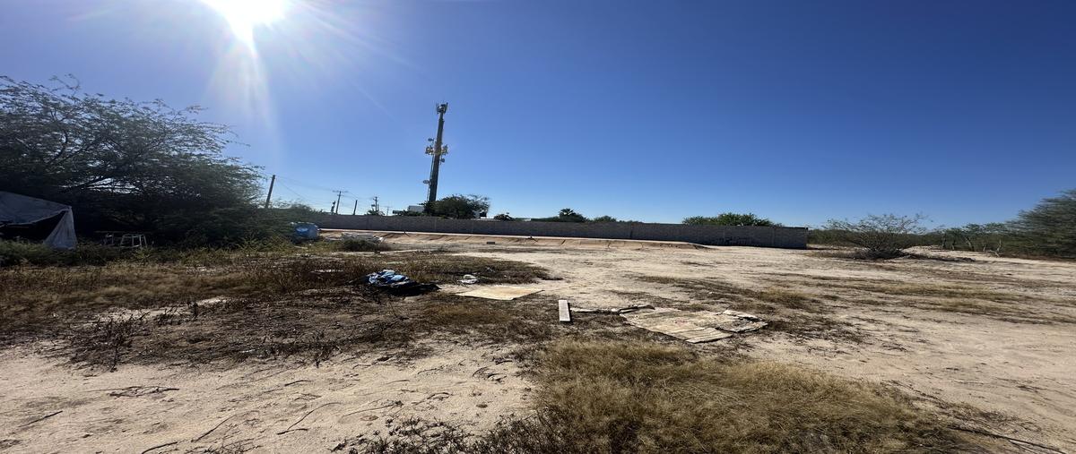 Foto de terreno habitacional en carretera al aeropuerto , chametla, la paz, baja california sur, 0 foto 02 Foto de terreno habitacional en renta en carretera al aeropuerto , chametla, la paz, baja california sur, 0 No. 02