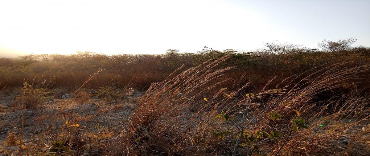 Foto de terreno comercial en venta en carretera al aeropuerto , galecio narcia, chiapa de corzo, chiapas, 0 No. 04