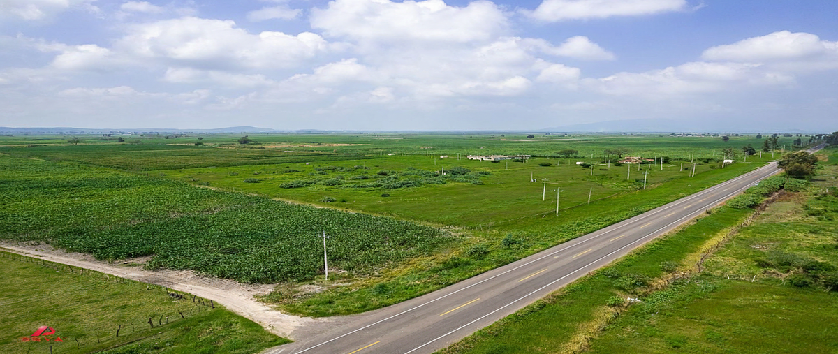 Foto de terreno comercial en venta en carretera al ingenio tala , ingenio, tala, jalisco, 0 No. 03