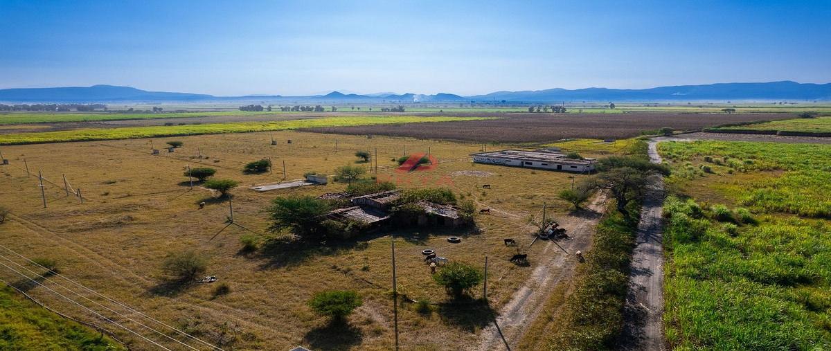 Foto de terreno comercial en venta en carretera al ingenio tala , ingenio, tala, jalisco, 0 No. 04