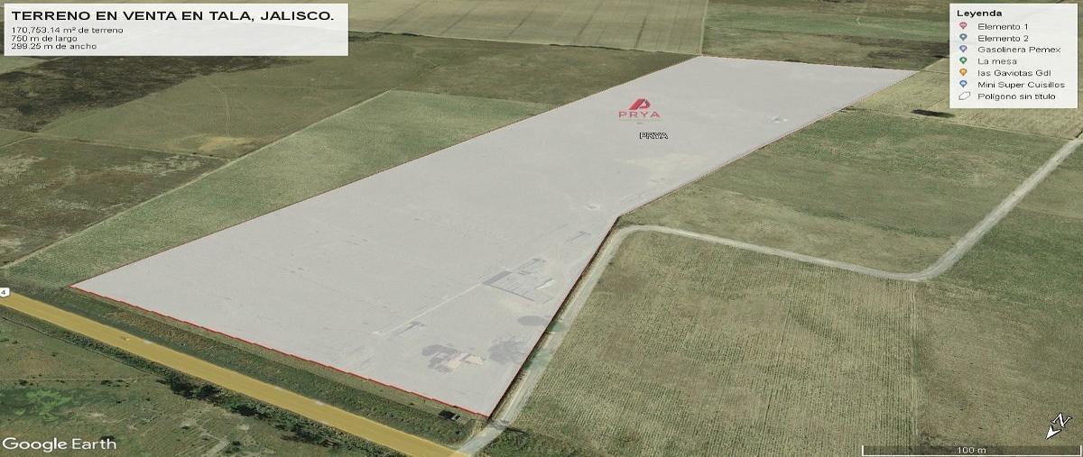 Foto de terreno comercial en venta en carretera al ingenio tala , ingenio, tala, jalisco, 0 No. 06