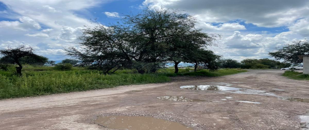 Foto de terreno comercial en venta en carretera al mezquital , gabino santillán, durango, durango, 30524399 No. 04