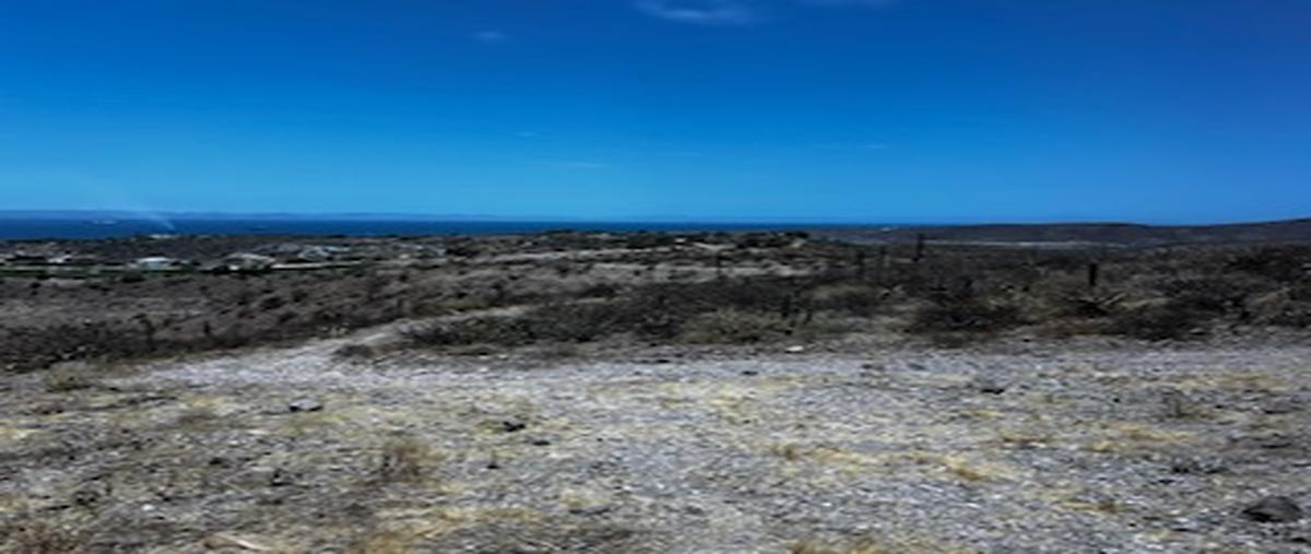 Foto de terreno habitacional en venta en carretera al norte carretera a pichilingue. , lomas de palmira, la paz, baja california sur, 28525349 No. 04
