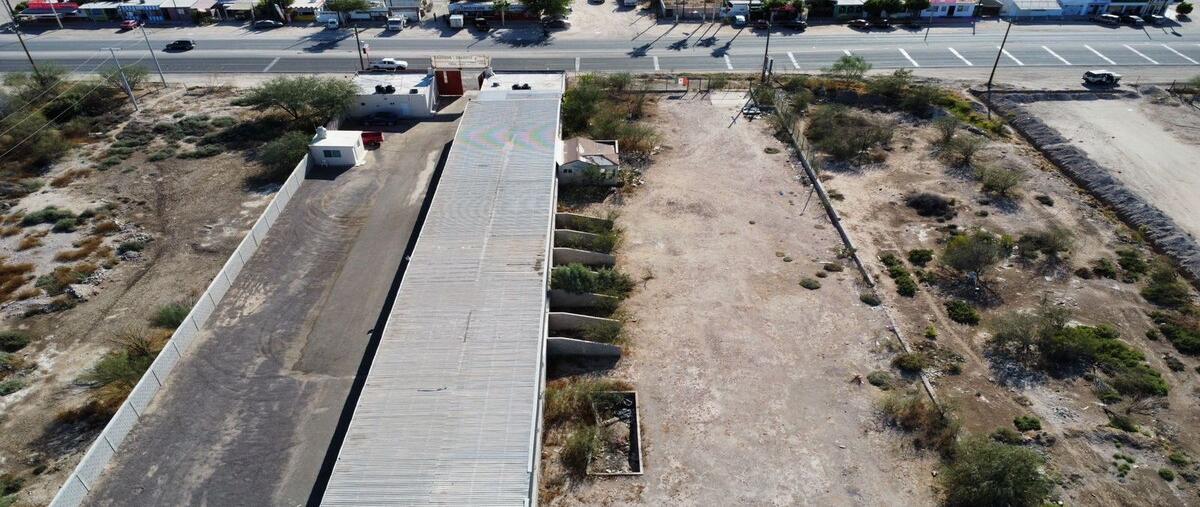 Foto de terreno comercial en carretera al norte. , el centenario, la paz, baja california sur, 29018650 foto 04 Foto de terreno comercial en renta en carretera al norte. , el centenario, la paz, baja california sur, 29018650 No. 04