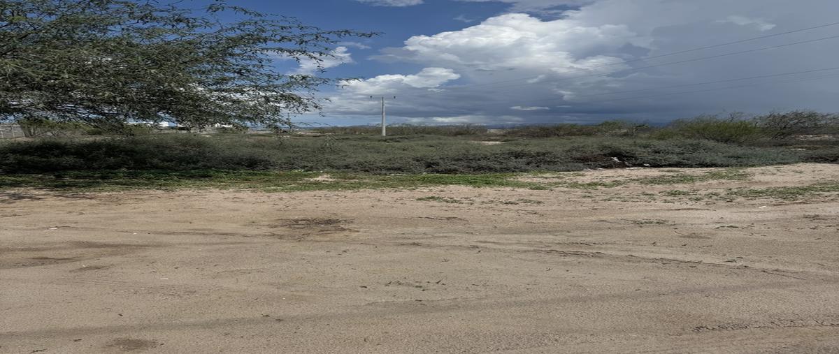 Foto de terreno habitacional en carretera al norte , el centenario, la paz, baja california sur, 0 foto 04 Foto de terreno habitacional en renta en carretera al norte , el centenario, la paz, baja california sur, 0 No. 04