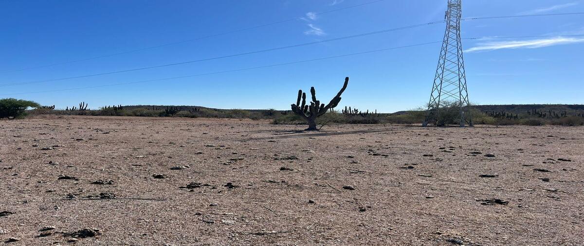 Foto de terreno habitacional en venta en carretera al norte , zona central, la paz, baja california sur, 0 No. 05
