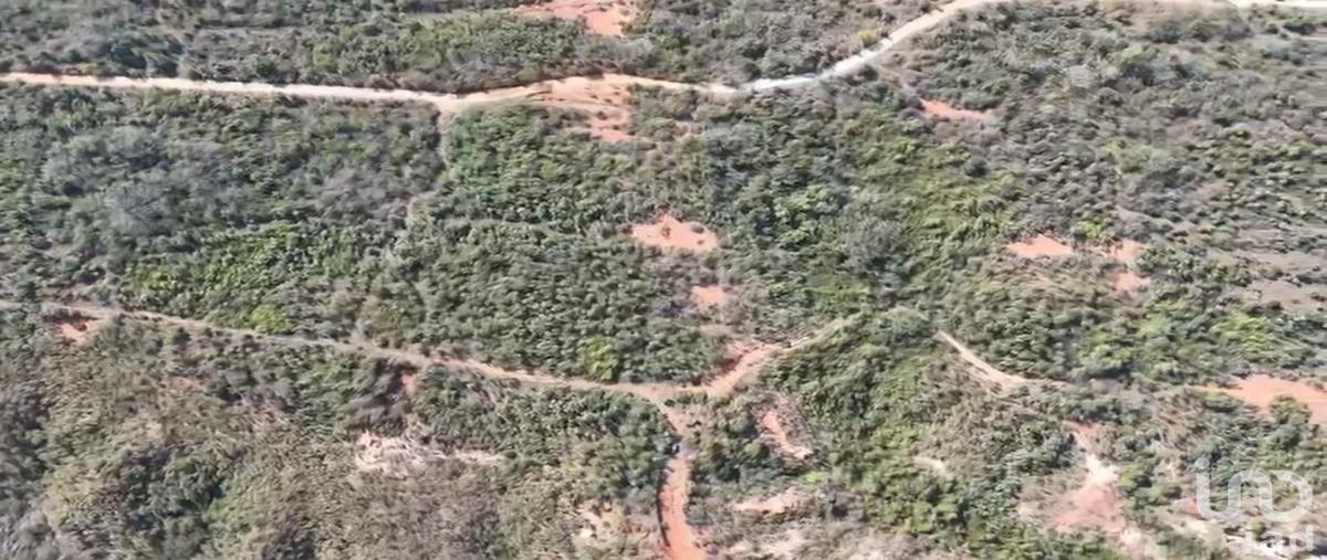 Foto de terreno habitacional en venta en carretera al rancho de la cruz de quelitan 1307, el colorado, puerto vallarta, jalisco, 31098998 No. 04