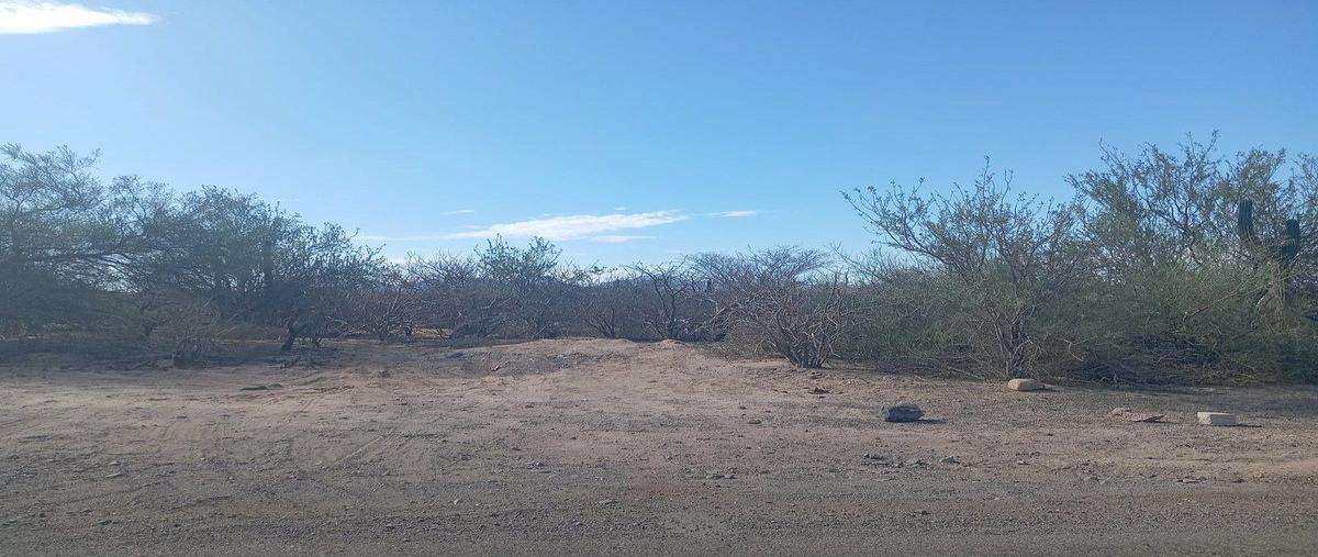 Foto de terreno habitacional en venta en carretera al saltito , agua de los coyotes, la paz, baja california sur, 0 No. 04