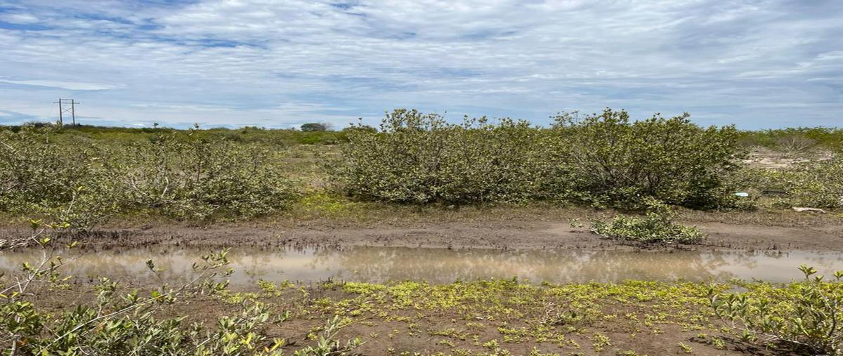 Foto de terreno habitacional en venta en carretera al tetuan , altata, navolato, sinaloa, 24376006 No. 03