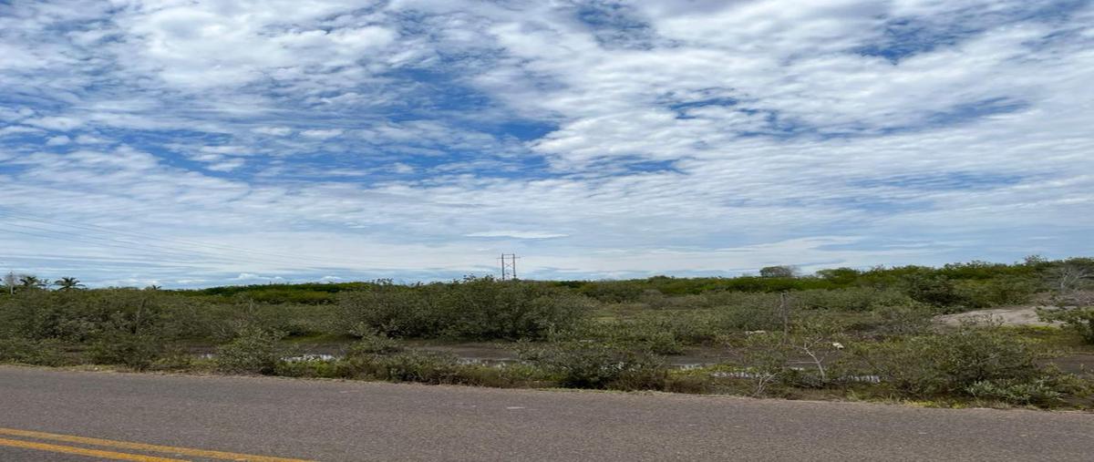Foto de terreno habitacional en venta en carretera al tetuan , altata, navolato, sinaloa, 24376006 No. 04