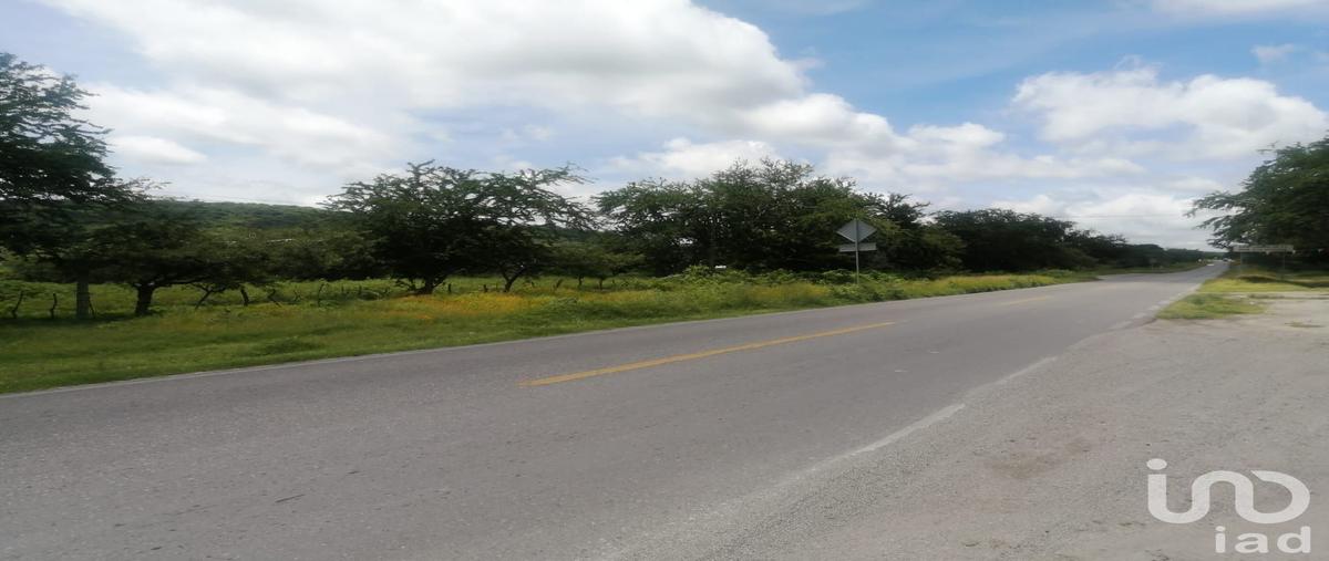 Foto de terreno habitacional en venta en carretera alpuyeca -grutas kilometro 3 , coaxcomac, xochitepec, morelos, 0 No. 03