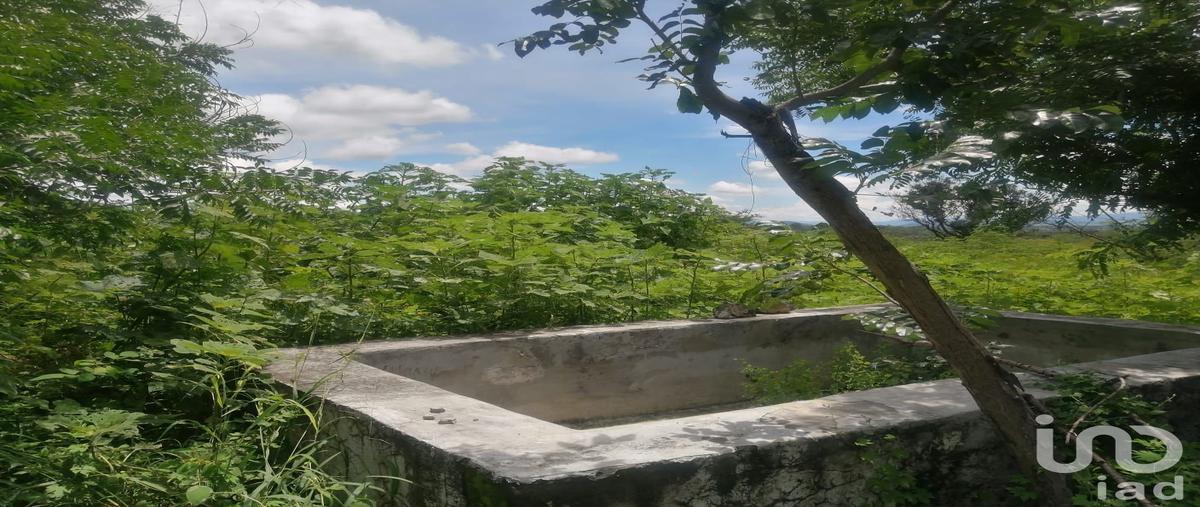 Foto de terreno habitacional en venta en carretera alpuyeca -grutas kilometro 3 , coaxcomac, xochitepec, morelos, 0 No. 04