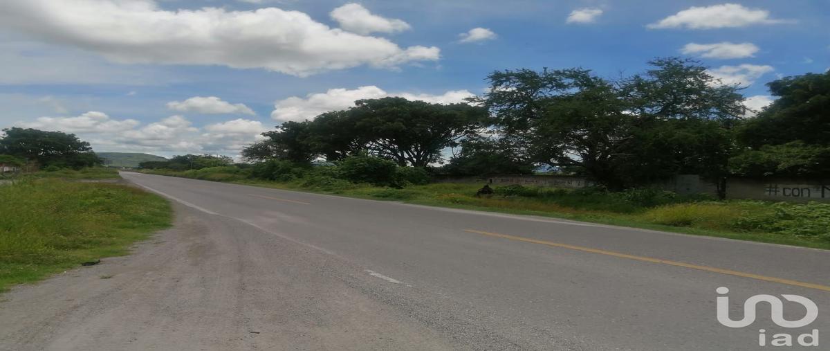 Foto de terreno habitacional en venta en carretera alpuyeca -grutas kilometro 3 , coaxcomac, xochitepec, morelos, 0 No. 05