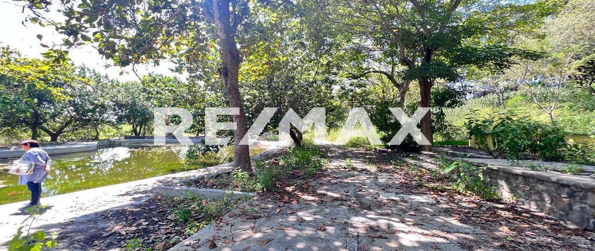 Foto de terreno comercial en venta en carretera alpuyeca-jojutla en el poblado de xoxocotla morelos , alpuyeca, xochitepec, morelos, 0 No. 01