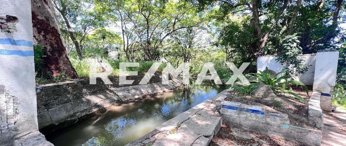 Foto de terreno comercial en venta en carretera alpuyeca-jojutla en el poblado de xoxocotla morelos , alpuyeca, xochitepec, morelos, 0 No. 02
