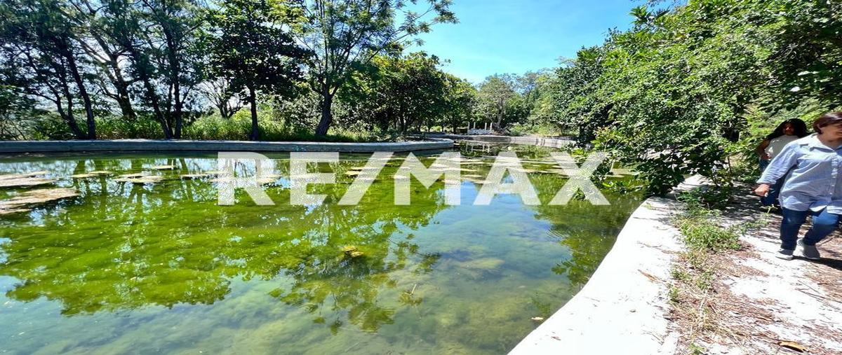 Foto de terreno comercial en venta en carretera alpuyeca-jojutla en el poblado de xoxocotla morelos , alpuyeca, xochitepec, morelos, 0 No. 03