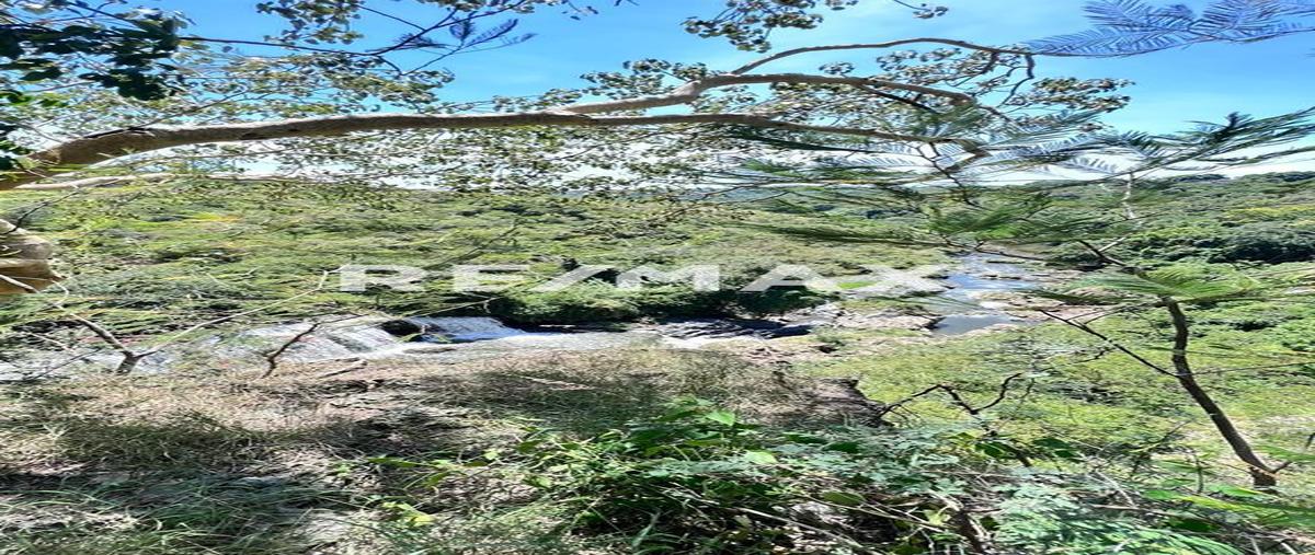 Foto de terreno comercial en venta en carretera alpuyeca-jojutla en el poblado de xoxocotla morelos , alpuyeca, xochitepec, morelos, 0 No. 04