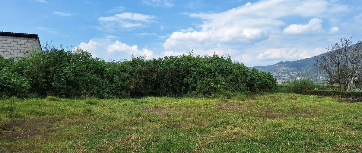 Foto de terreno habitacional en carretera amanalco san juan , amanalco de becerra, amanalco, méxico, 0 foto 04 Foto de terreno habitacional en venta en carretera amanalco san juan , amanalco de becerra, amanalco, méxico, 0 No. 04