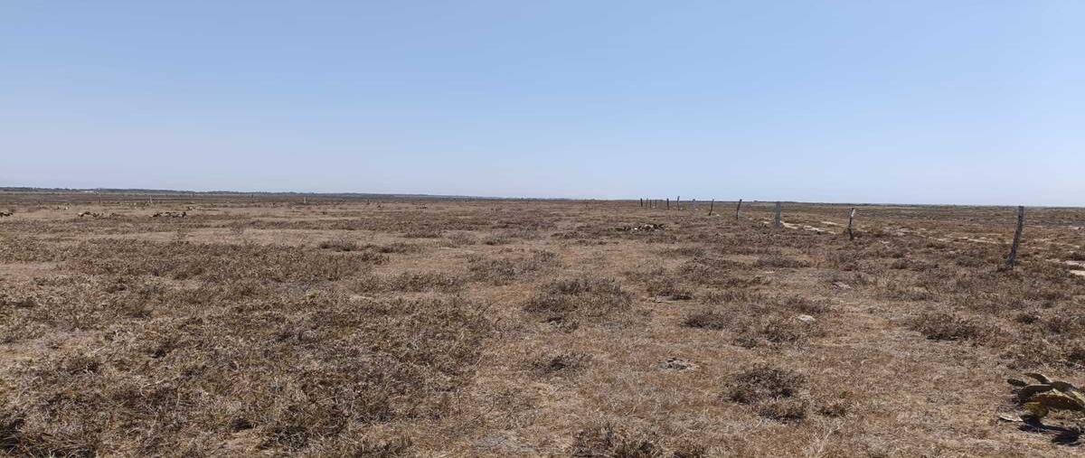 Foto de terreno habitacional en venta en carretera amazquite , la barra de santa rosa, san marcos, guerrero, 0 No. 04