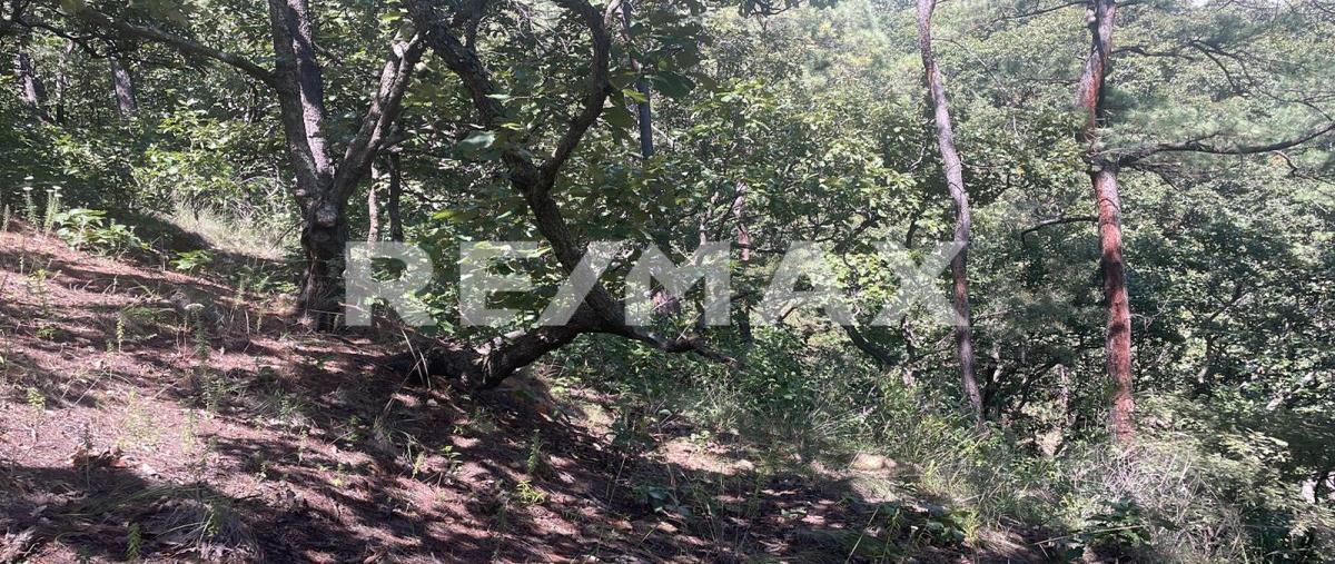 Foto de terreno habitacional en venta en carretera antigua a toluca , tres puentes, valle de bravo, méxico, 24953278 No. 05