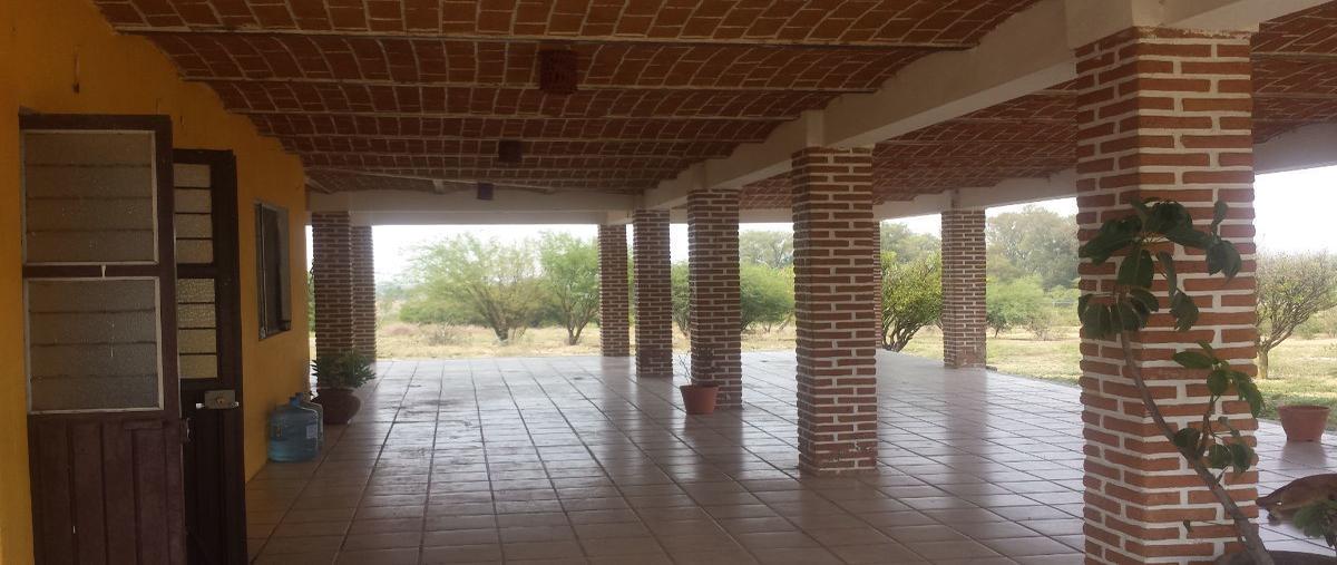 Foto de rancho en venta en carretera antigua chapala , los cedros, ixtlahuacán de los membrillos, jalisco, 17706782 No. 03