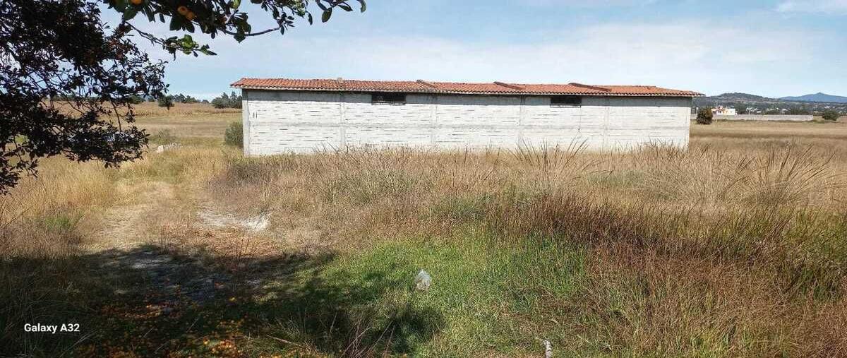 Foto de terreno habitacional en venta en carretera apizaco-muñoz , jardines de apizaco, apizaco, tlaxcala, 29966148 No. 01