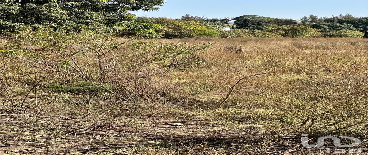 Foto de terreno industrial en venta en carretera arenal-tala 253, emiliano zapata, el arenal, jalisco, 30602757 No. 03