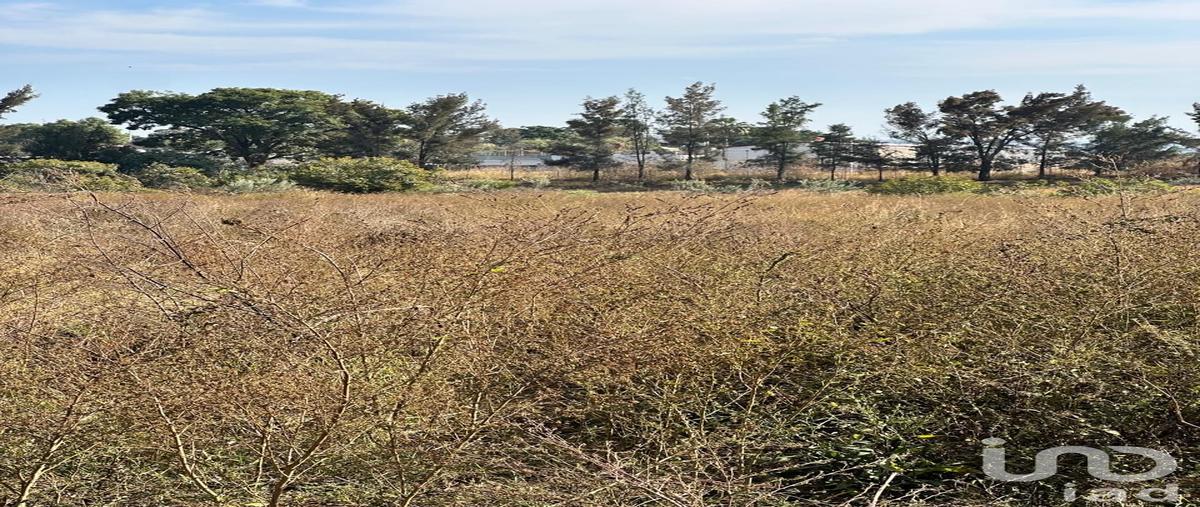 Foto de terreno industrial en venta en carretera arenal-tala 253, emiliano zapata, el arenal, jalisco, 30602757 No. 04