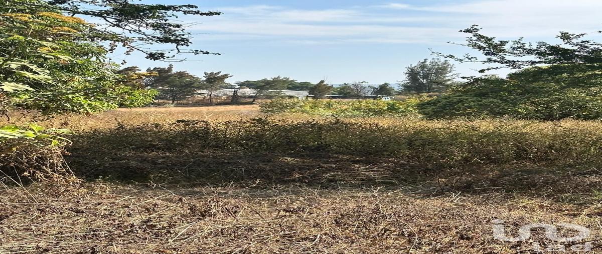 Foto de terreno industrial en venta en carretera arenal-tala 253, emiliano zapata, el arenal, jalisco, 30602757 No. 05