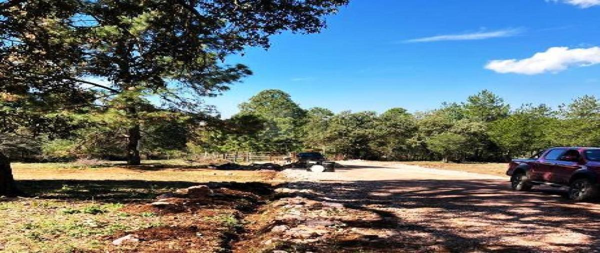 Foto de terreno habitacional en carretera atemajac de brizuela, jalisco 437, atemajac de brizuela, atemajac de brizuela, jalisco, 0 foto 02 Foto de terreno habitacional en venta en carretera atemajac de brizuela, jalisco 437, atemajac de brizuela, atemajac de brizuela, jalisco, 0 No. 02