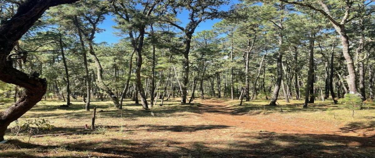 Foto de terreno habitacional en carretera atemajac de brizuela, jalisco 437, atemajac de brizuela, atemajac de brizuela, jalisco, 0 foto 03 Foto de terreno habitacional en venta en carretera atemajac de brizuela, jalisco 437, atemajac de brizuela, atemajac de brizuela, jalisco, 0 No. 03