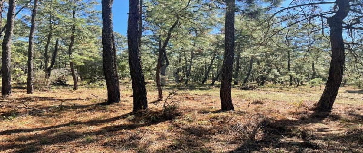 Foto de terreno habitacional en carretera atemajac de brizuela, jalisco 437, atemajac de brizuela, atemajac de brizuela, jalisco, 0 foto 04 Foto de terreno habitacional en venta en carretera atemajac de brizuela, jalisco 437, atemajac de brizuela, atemajac de brizuela, jalisco, 0 No. 04