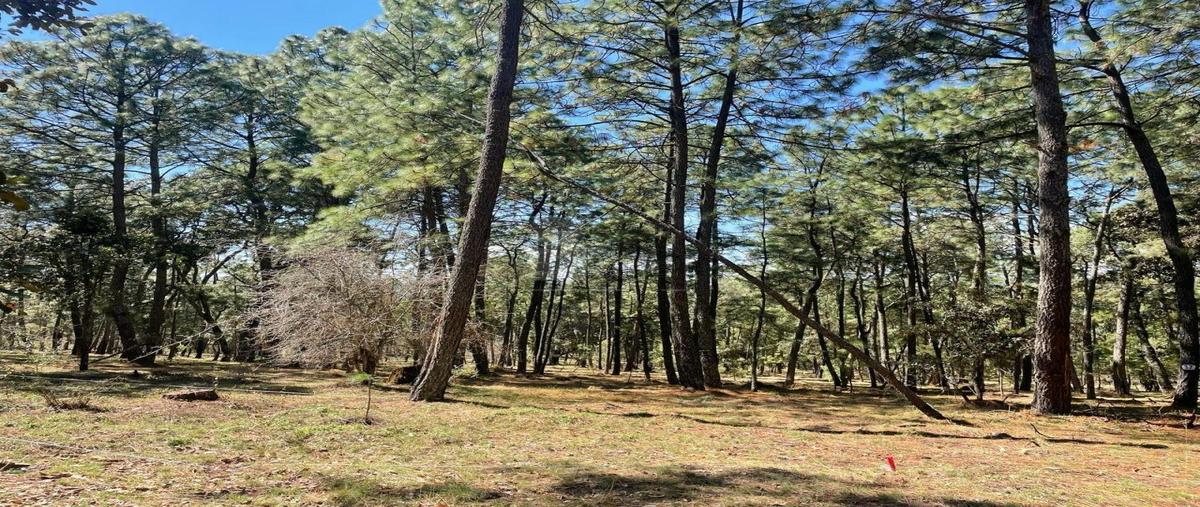 Foto de terreno habitacional en carretera atemajac de brizuela, jalisco 437, atemajac de brizuela, atemajac de brizuela, jalisco, 0 foto 05 Foto de terreno habitacional en venta en carretera atemajac de brizuela, jalisco 437, atemajac de brizuela, atemajac de brizuela, jalisco, 0 No. 05
