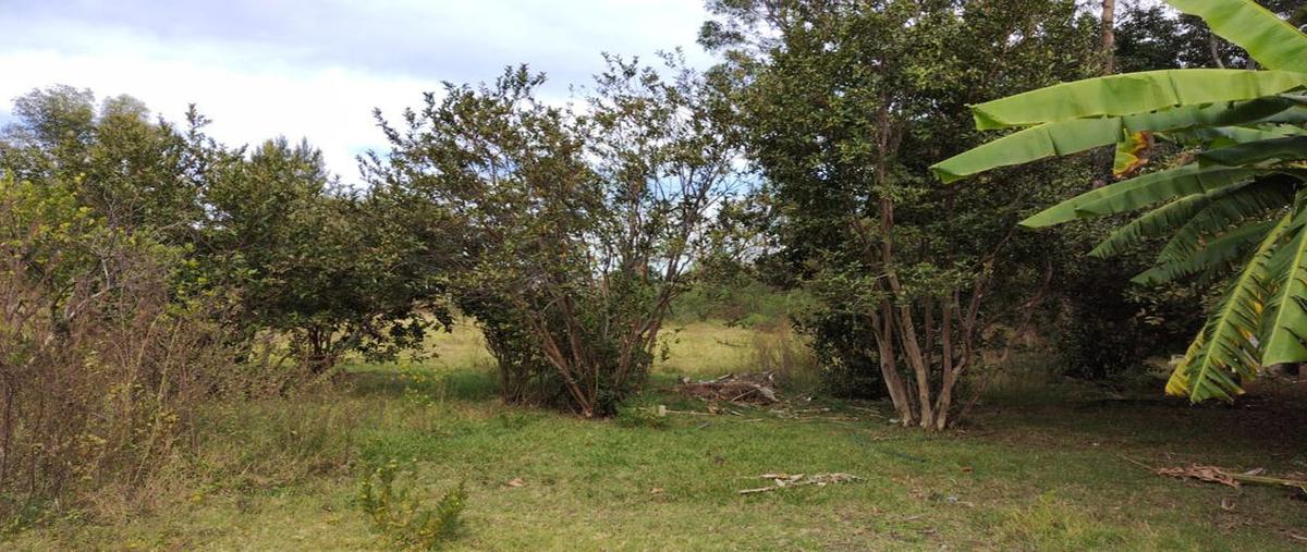Foto de terreno habitacional en renta en carretera atlacomulco morelia , santa clara del tule, zinapécuaro, michoacán de ocampo, 0 No. 03