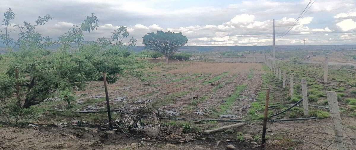 Foto de terreno habitacional en carretera atlatlauca , totolapan, totolapan, morelos, 28299969 foto 05 Foto de terreno habitacional en venta en carretera atlatlauca , totolapan, totolapan, morelos, 28299969 No. 05