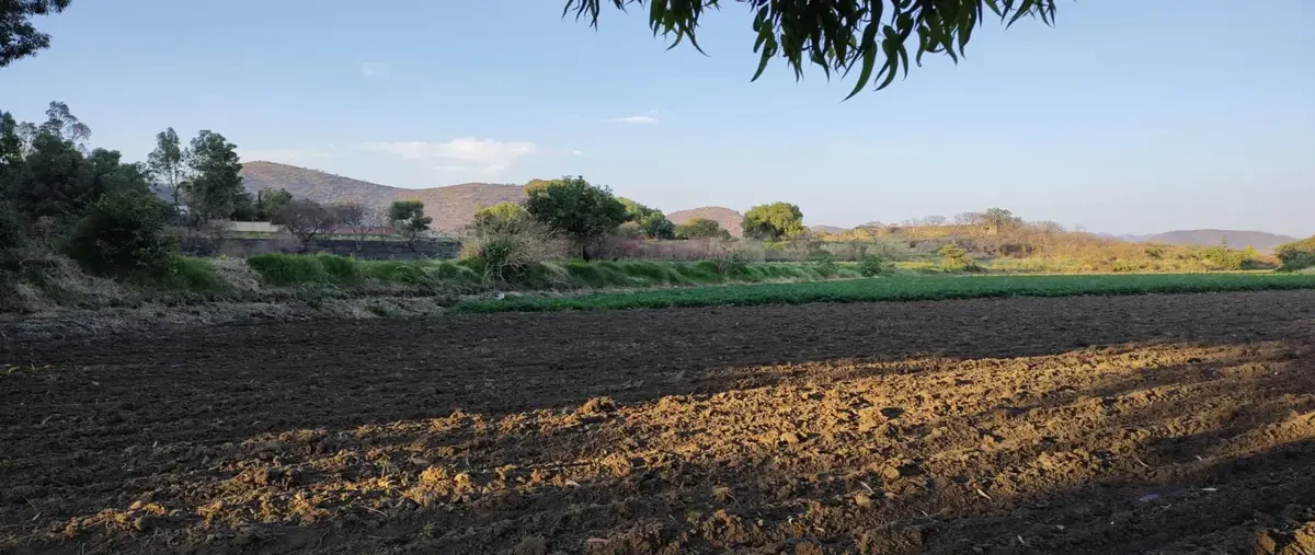 Foto de terreno habitacional en venta en carretera atlixco, metepec , metepec, atlixco, puebla, 0 No. 01
