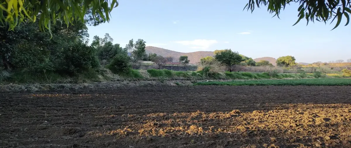 Foto de terreno habitacional en venta en carretera atlixco, metepec , metepec, atlixco, puebla, 0 No. 03