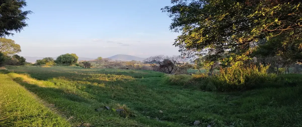 Foto de terreno habitacional en venta en carretera atlixco, metepec , metepec, atlixco, puebla, 0 No. 05
