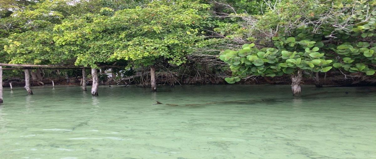 Foto de terreno habitacional en venta en carretera bacalar - xtomoc , bacalar dos, bacalar, quintana roo, 27476022 No. 05