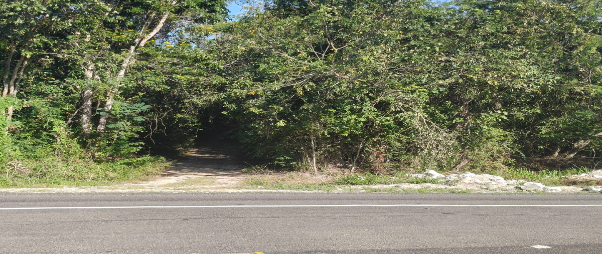 Foto de terreno habitacional en carretera bacalar-xtomoc , bacalar dos, bacalar, quintana roo, 0 foto 02 Foto de terreno habitacional en venta en carretera bacalar-xtomoc , bacalar dos, bacalar, quintana roo, 0 No. 02