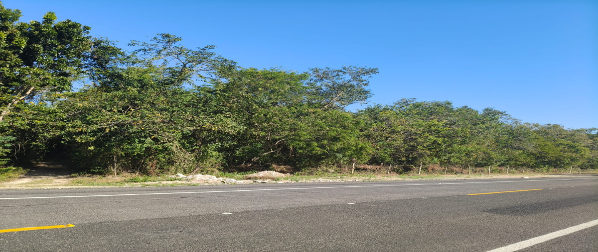 Foto de terreno habitacional en carretera bacalar-xtomoc , bacalar dos, bacalar, quintana roo, 0 foto 03 Foto de terreno habitacional en venta en carretera bacalar-xtomoc , bacalar dos, bacalar, quintana roo, 0 No. 03